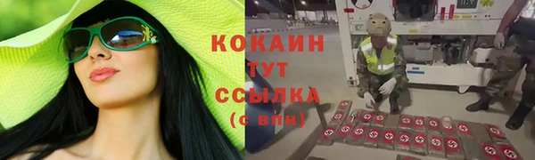 прущие крисы Зеленокумск