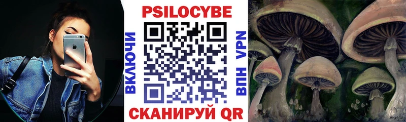 Псилоцибиновые грибы прущие грибы  Купить  Кашира 